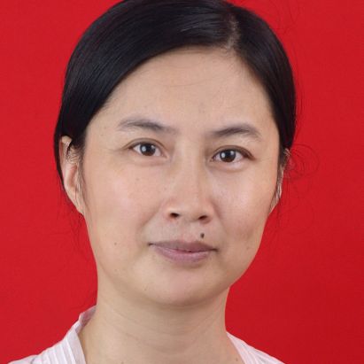 Professor Xiao Hongmei